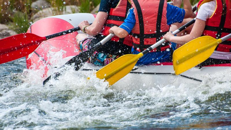 A stag group rafting on the Rhine river in Dusseldorf