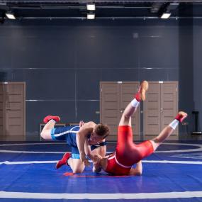 Wrestling training & match for stag do in Düsseldorf